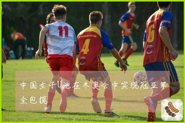 中国女子U池在冬奥会中实现冠亚军全包揽