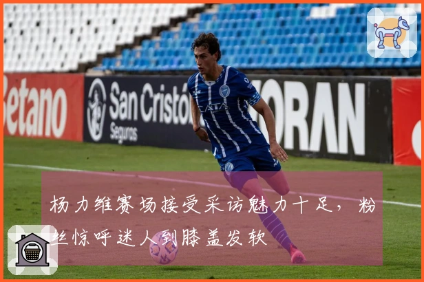 杨力维赛场接受采访魅力十足，粉丝惊呼迷人到膝盖发软